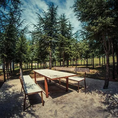 With View * Sveti Vlas