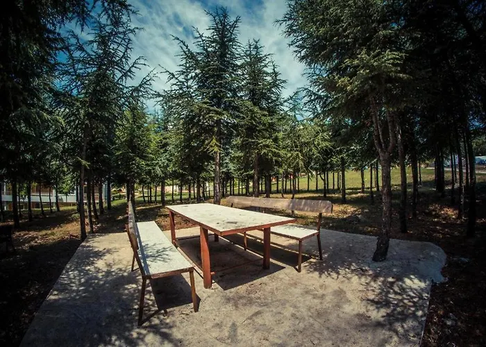 With View * Sveti Vlas