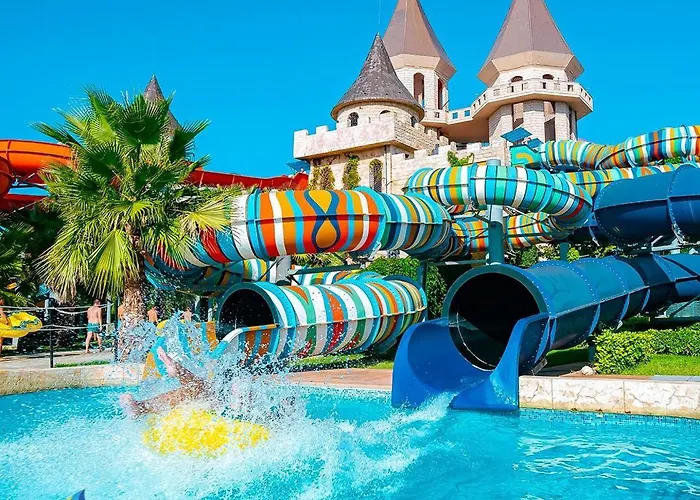 With View 스베티 블라스